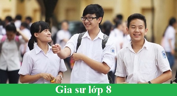 Gia sư lớp 8 tại nhà Hà Nội dạy kèm môn Toán Lý Hóa, Tiếng Anh, Văn